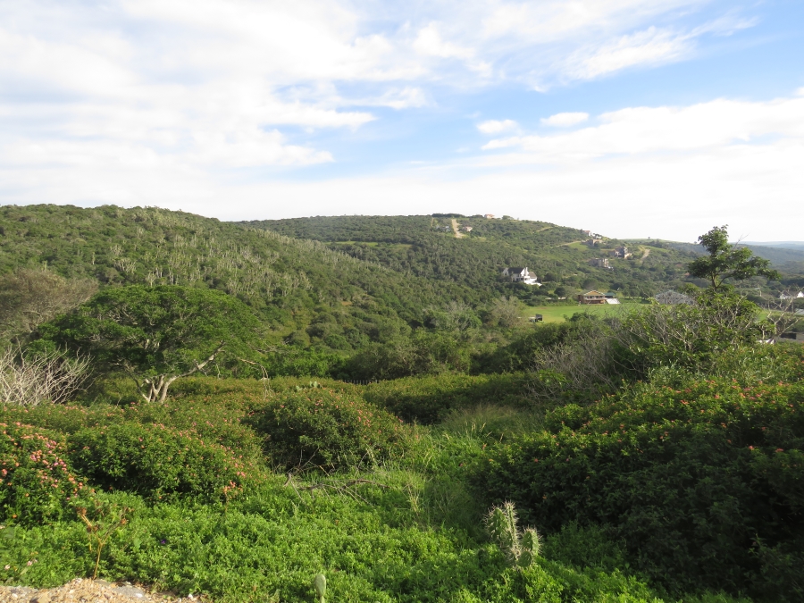 0 Bedroom Property for Sale in West Bank Eastern Cape